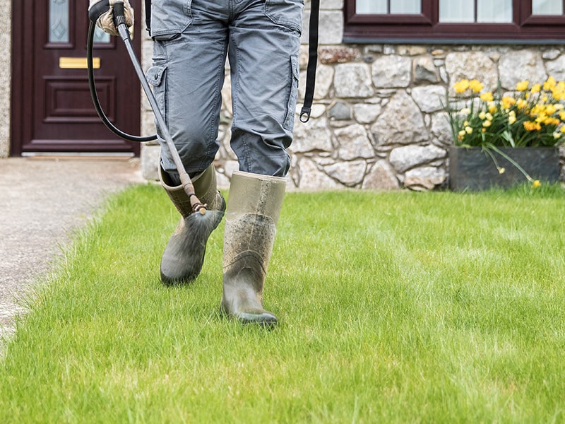 lawn care technician putting down liquid spray on green grass