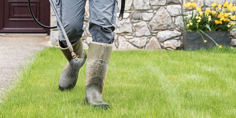 lawn care technician putting down liquid spray on green grass