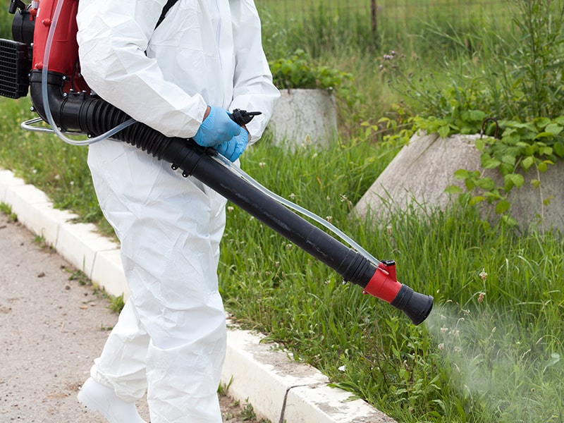 mosquito technician fogging for mosquitos