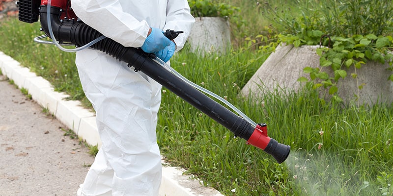 mosquito technician fogging for mosquitos